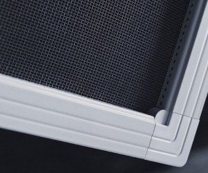 Антиптица